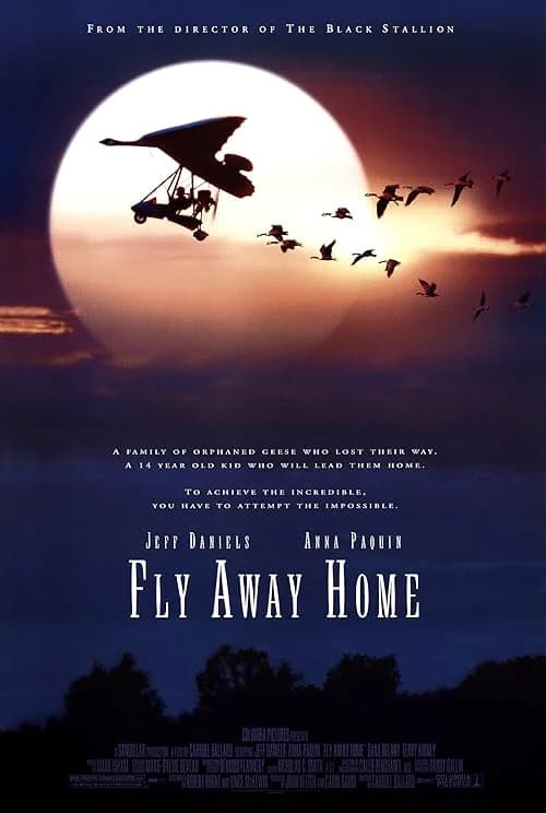 Fly Away Home film posteri